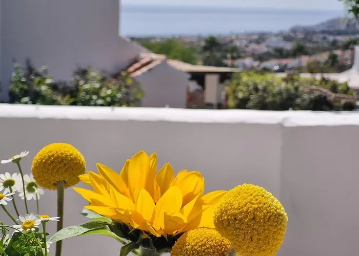 Lägenhet In Nerja