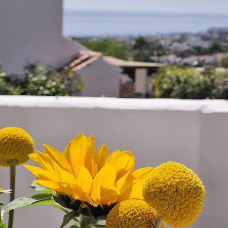 Apartment In Nerja